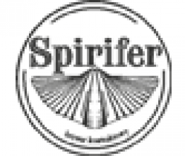 Spirifer