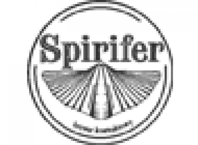 Spirifer